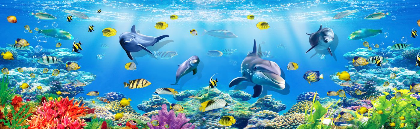 Tranh Dán Tường 3D Cá Chép & Cảnh Biển - Mẫu 005TCH