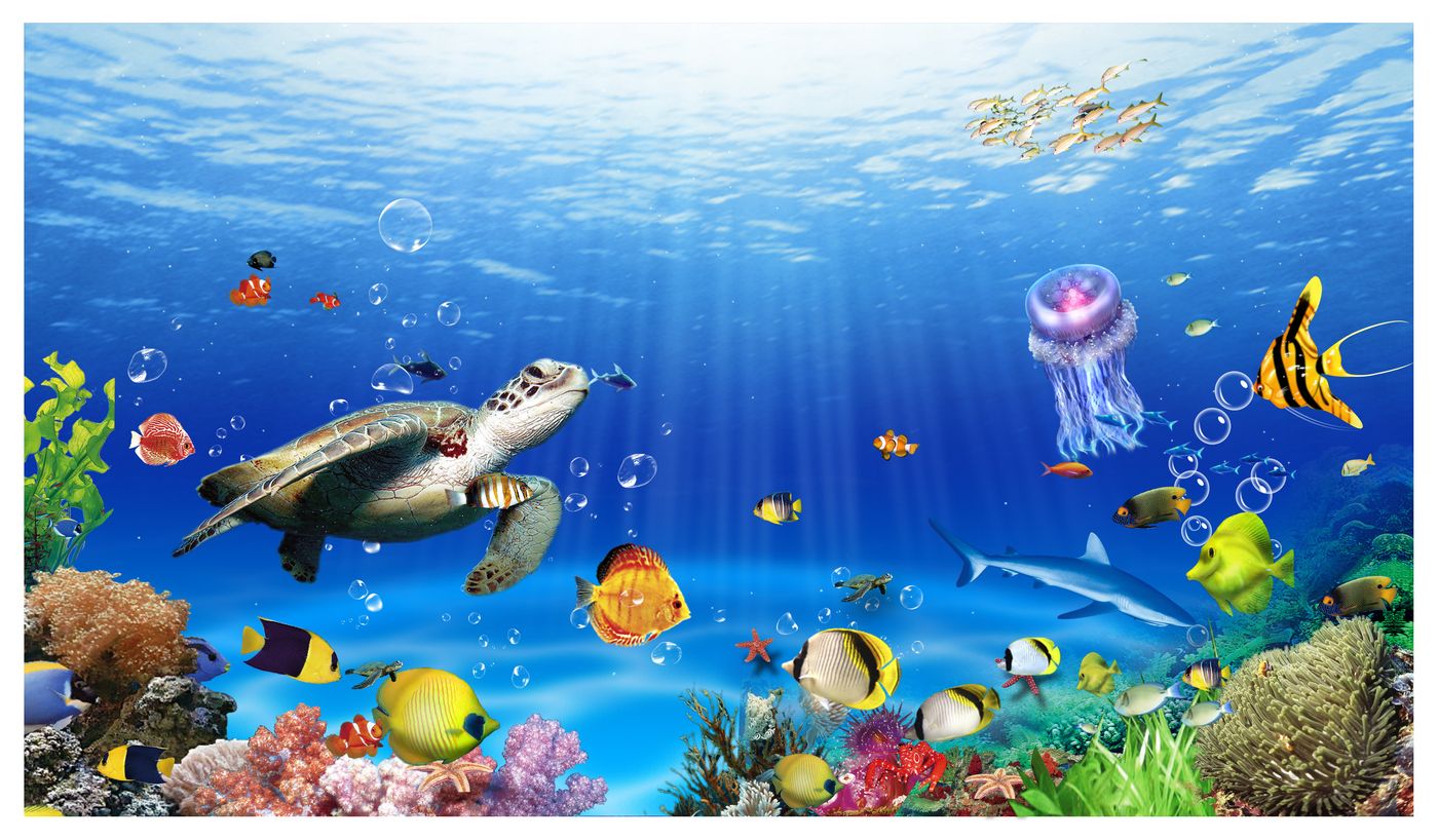 Tranh Dán Tường 3D Cá Chép & Cảnh Biển - Mẫu 014TCH - Hình thực tế 3